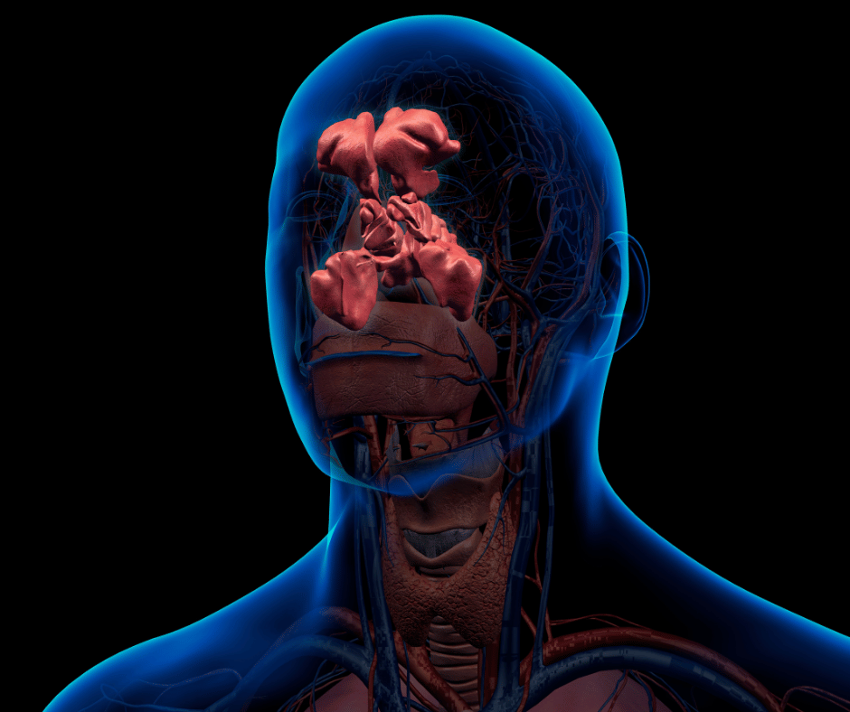 Chronic sinusitis